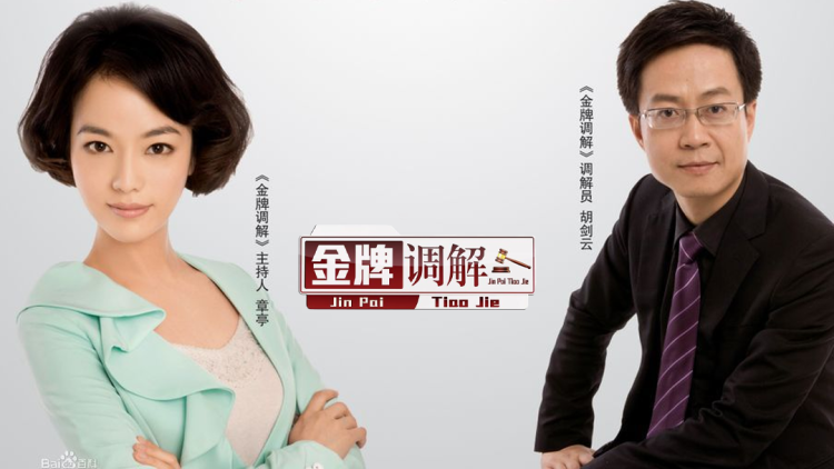 金牌调解2026海报